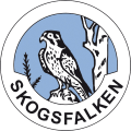 Ok Skogsfalken